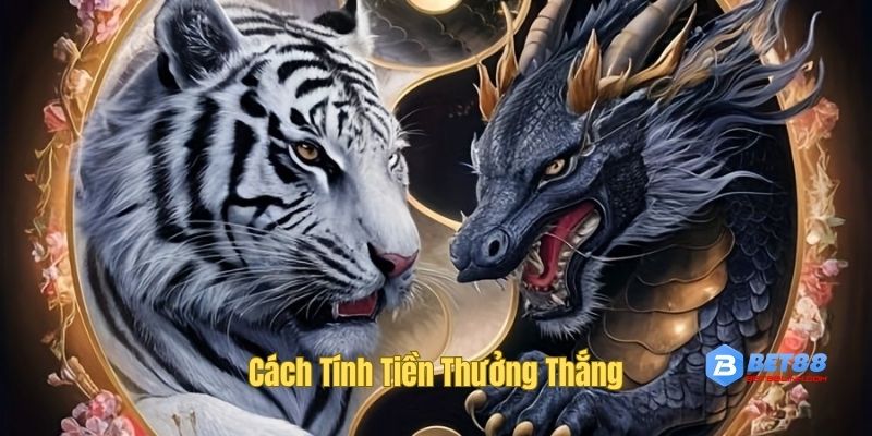 Hướng dẫn tính tiền thưởng thắng Dragon Tiger Bet88